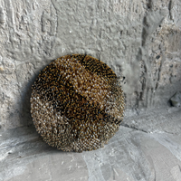 brosche milena zu
